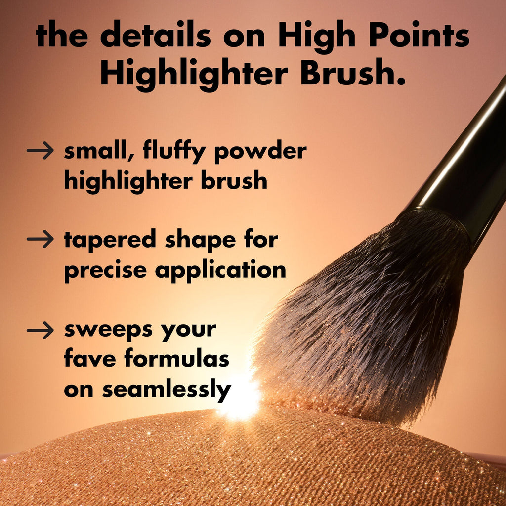 High Points Highlighter Brush