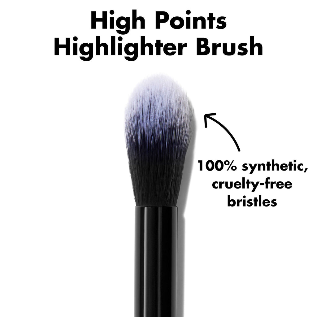 High Points Highlighter Brush