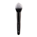 Pointed Powder Brush