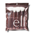 Blush & Glow Makeup Brush Set